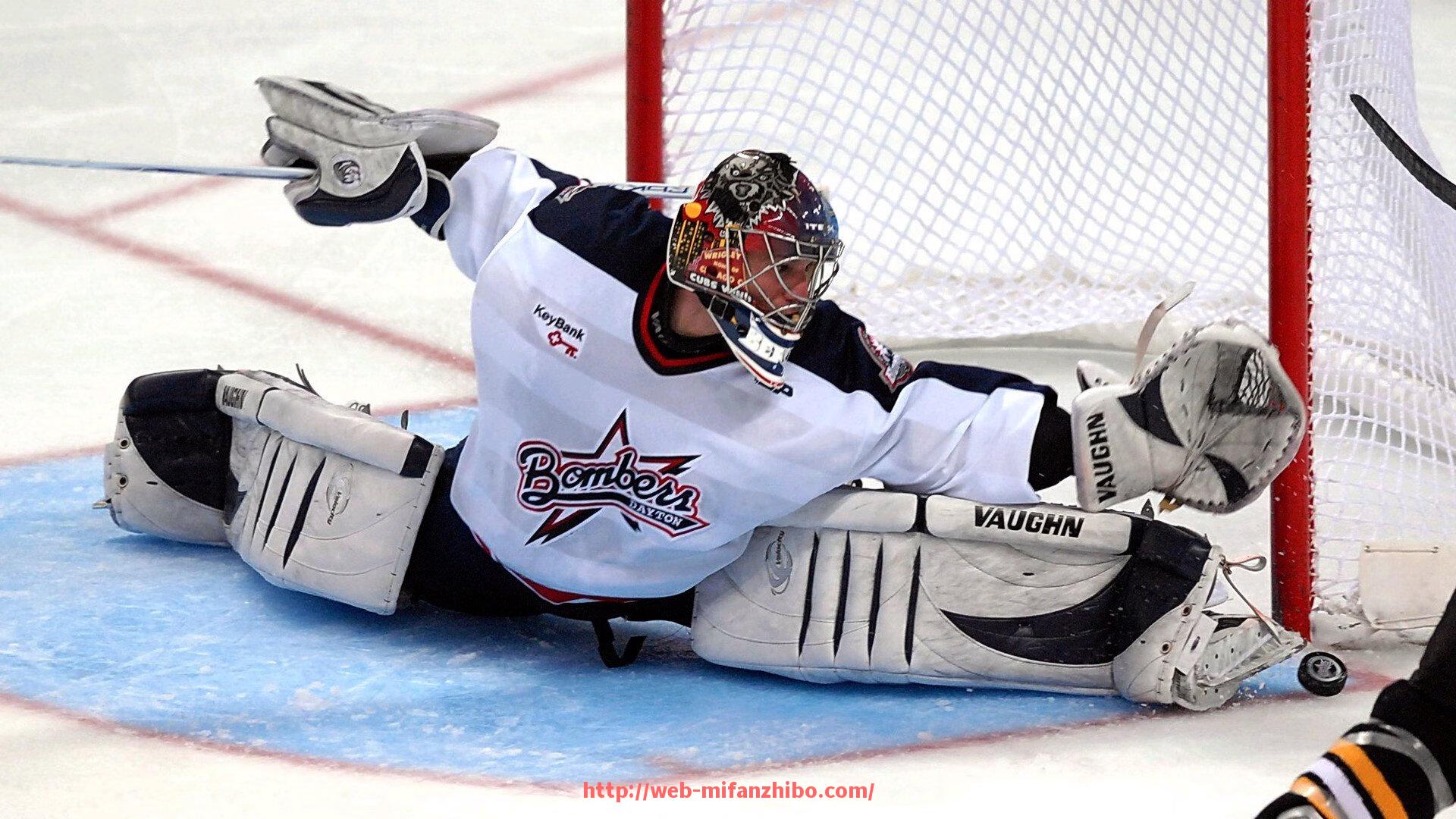 秘饭直播-火箭队薪金结构及球员工资明细